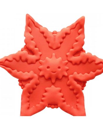 Starsi